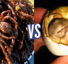 battle-356428-1423853204