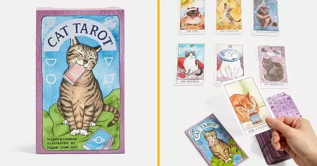 jeu-tarot-chats