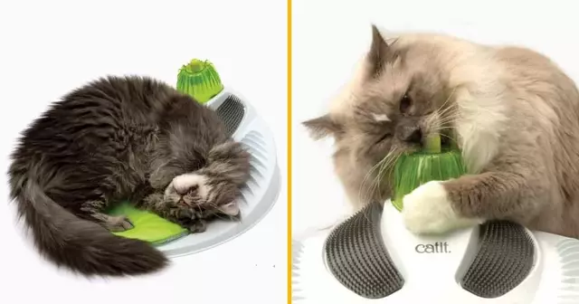 station-massage-chat