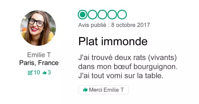 UNE_trip-advisor