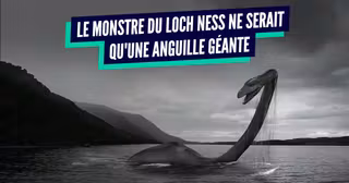 TOP LEGENDES explications