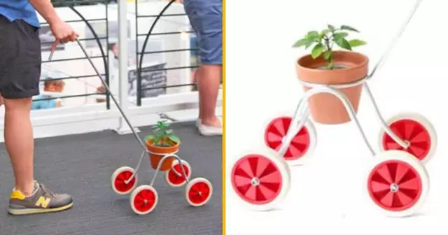 poussette-promener-plantes-enfants