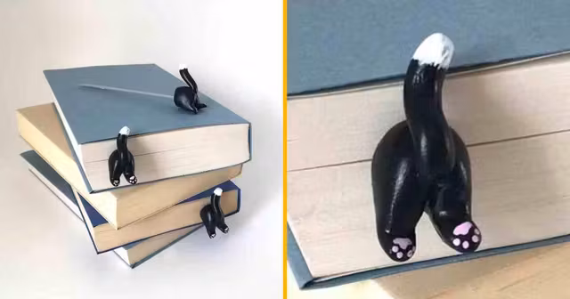 marque page fesse chat