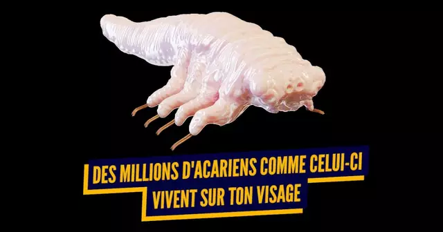 top infos pas envie savoir