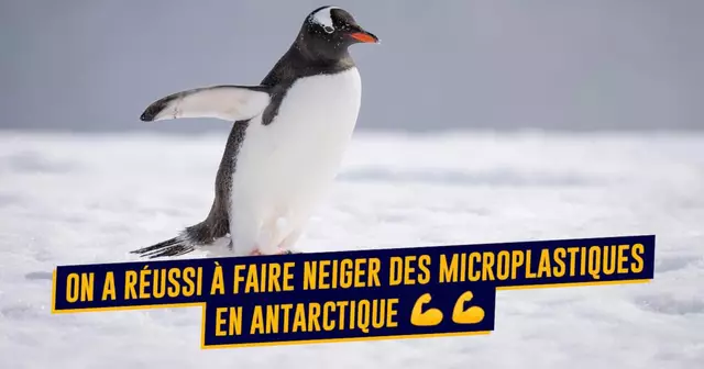 top humain victoire climat