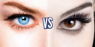 battle-340519-1417642172