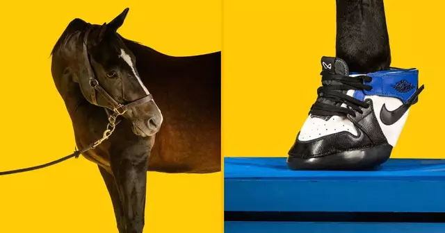 sneakers-pour-chevaux