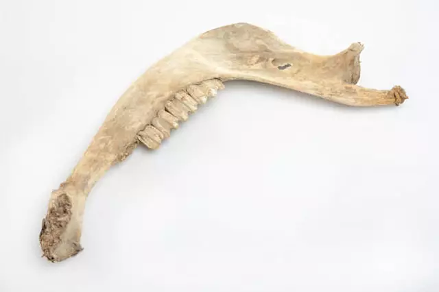 il_570xN.1408139219_rslu