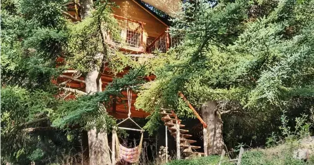 cabane-arbres-auvergne