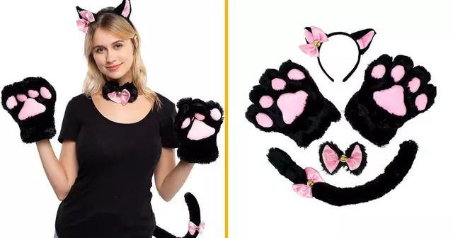 accessoires-deguiser-chat