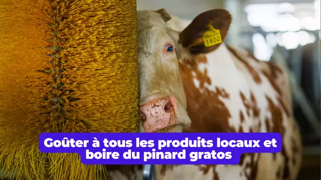 Salon de l'agriculture