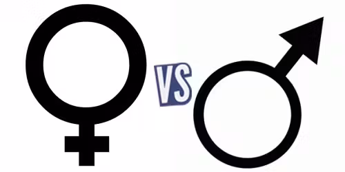 battle-365666-1427155906