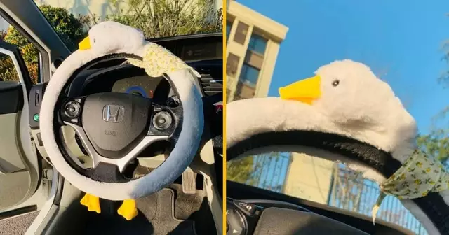 housse-volant-canard