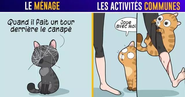 UNE_TOP_ILLU_CHAT_INSTA