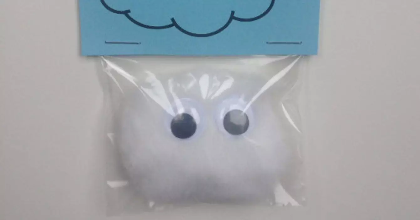 il_570xN.987597957_1856