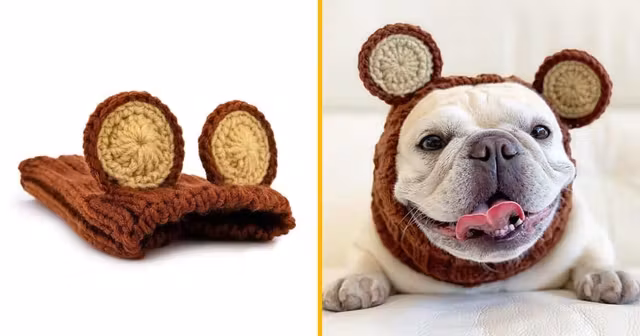 deguisement-oreilles-grizzly-chien