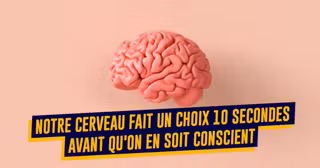 cerveau