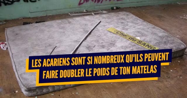 une_matelas