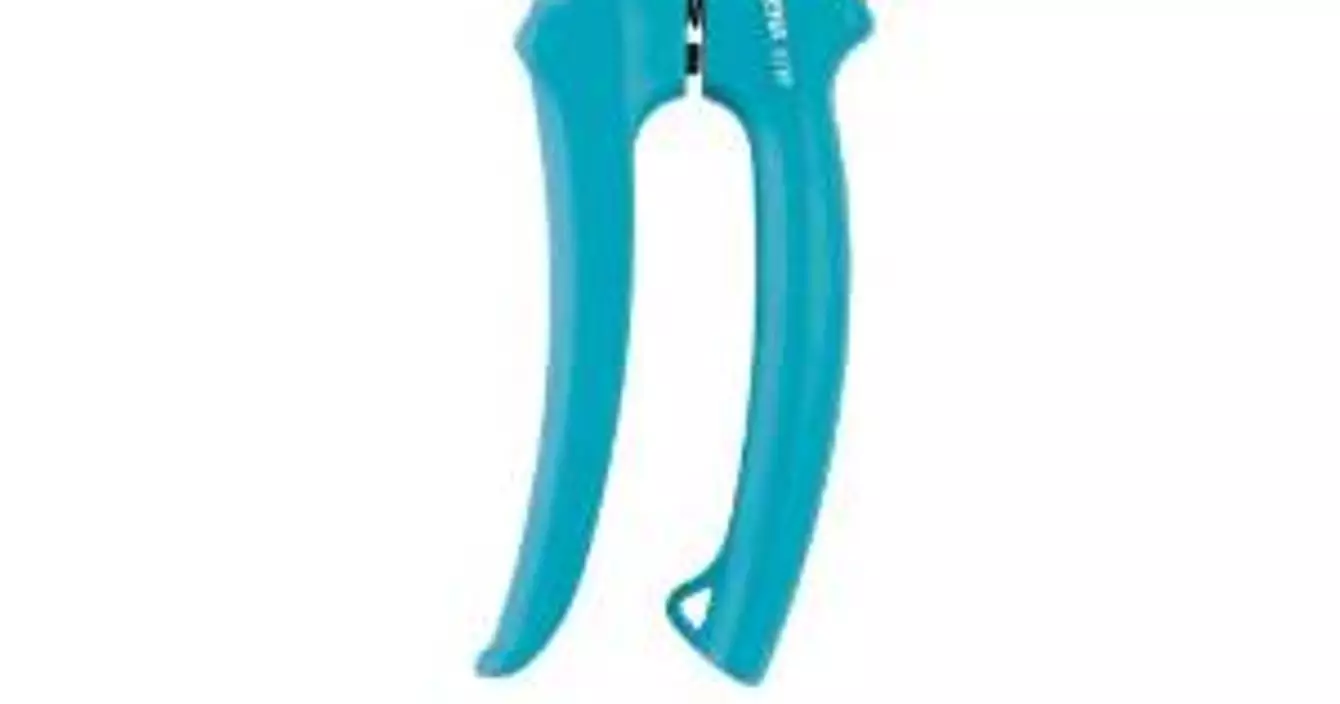 téléchargement (2)