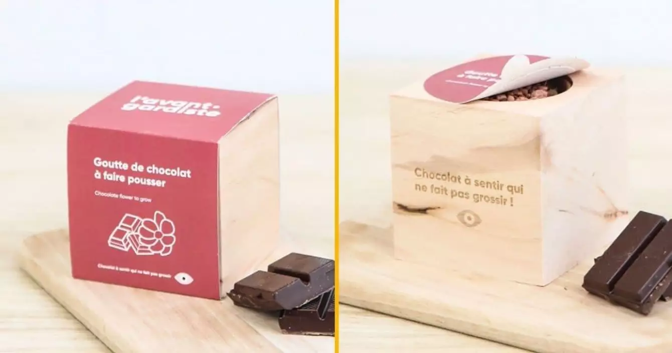 fleurs-pousser-senteur-chocolat