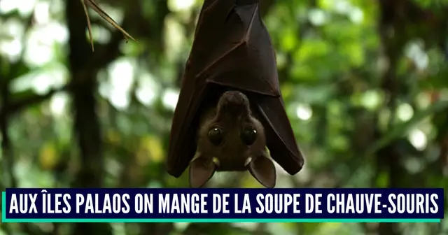 5427904169_f4795579ea_o (1)