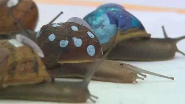 _e11799b8-6c55-11e7-9994-94edcc701b36