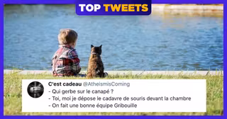 une-top-tweets-vomi-2