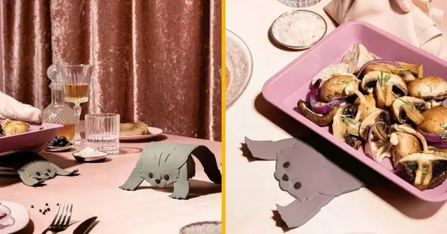 dessous-plat-chat-ecraser