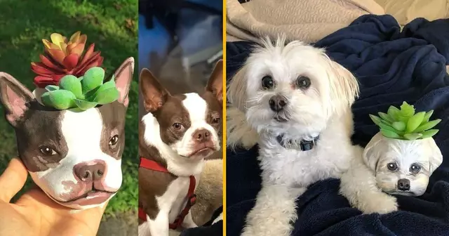 pot-fleur-personnalisation-tete-chien