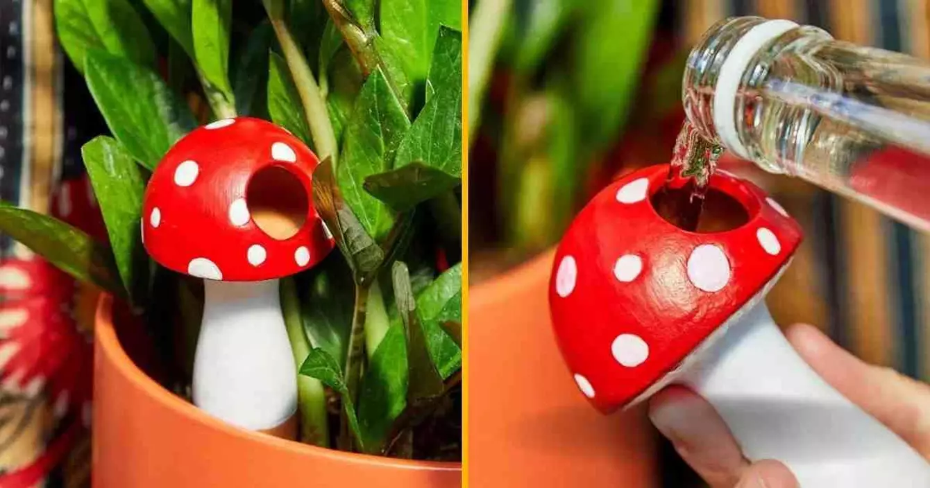 irrigateur-champignon-terre-cuite