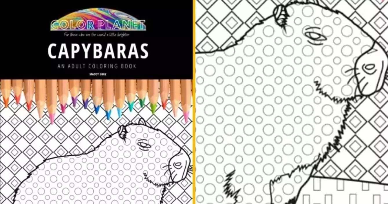 livre-coloriage-capybara