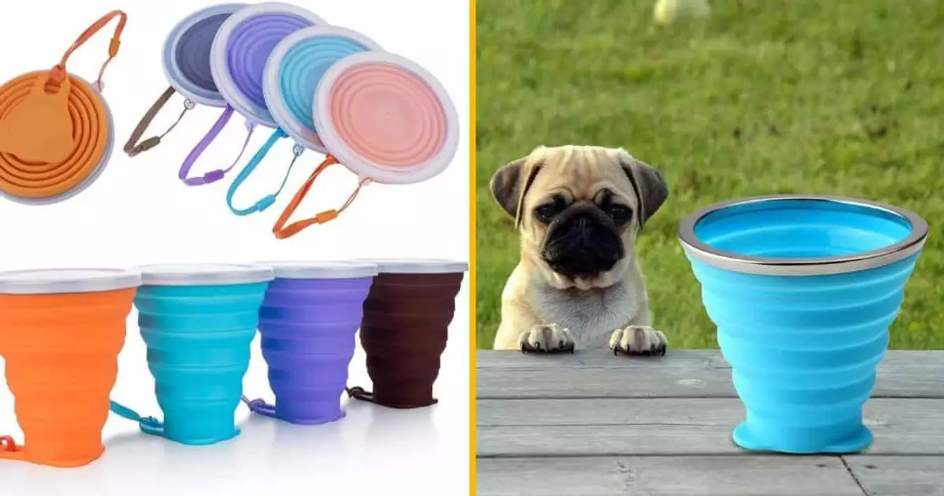 verre-binouze-retractable-transporter-partout