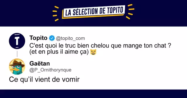 UNE_TOPITO_selection_chat_tweets