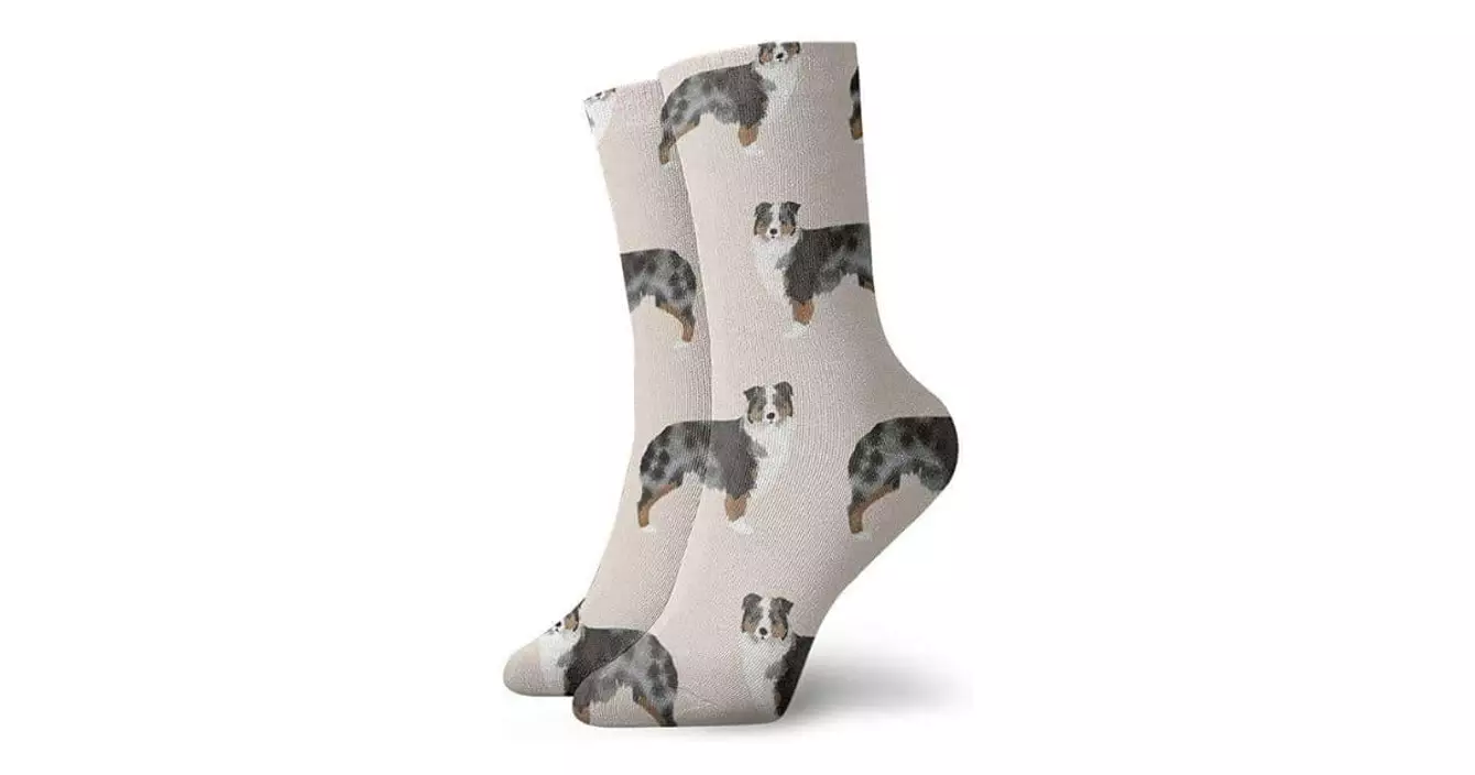 chaussettes-berger-australien