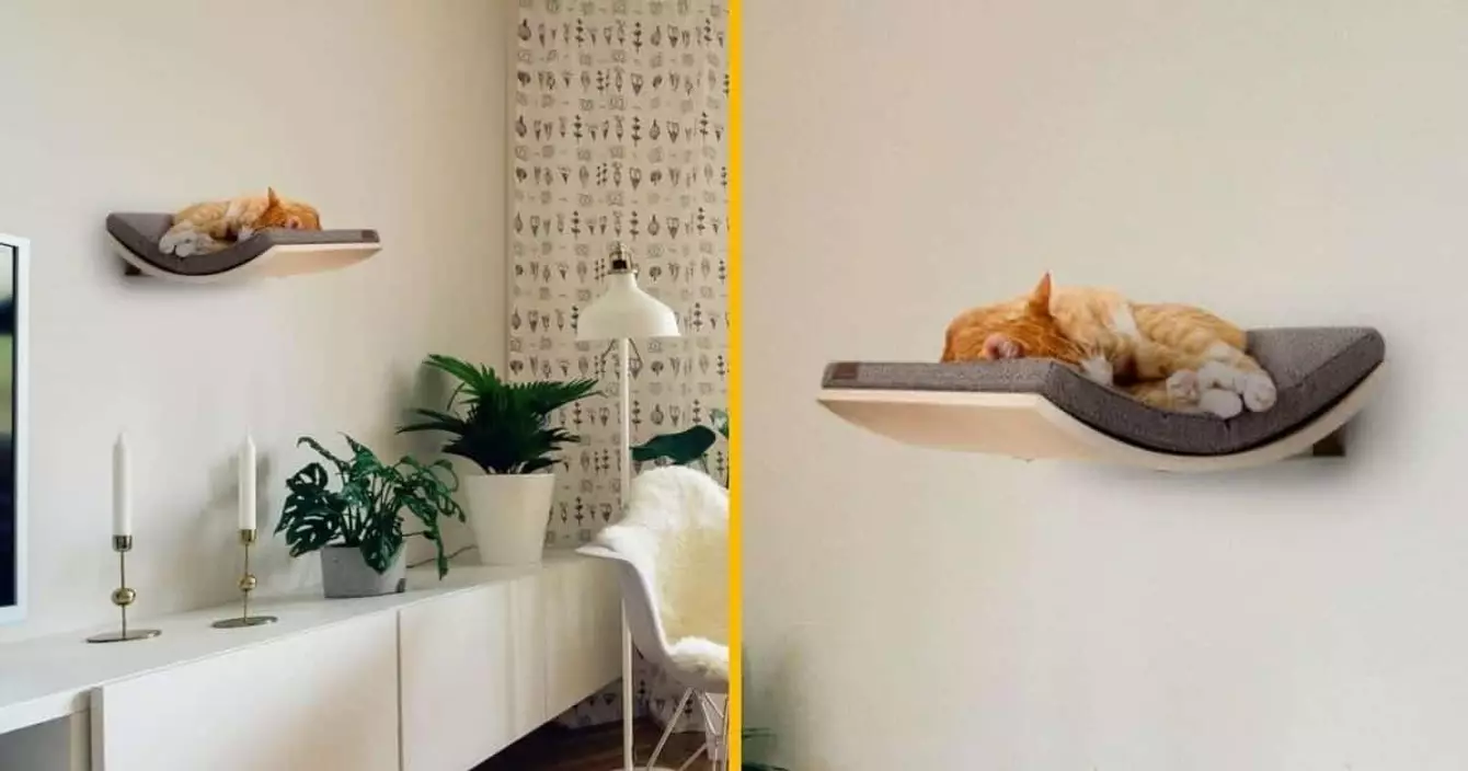 support-mural-chat-chiller