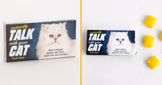 chewing-gums-chat