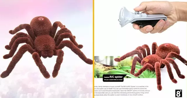 tarantule-tele-guidee-la-bonne-blague