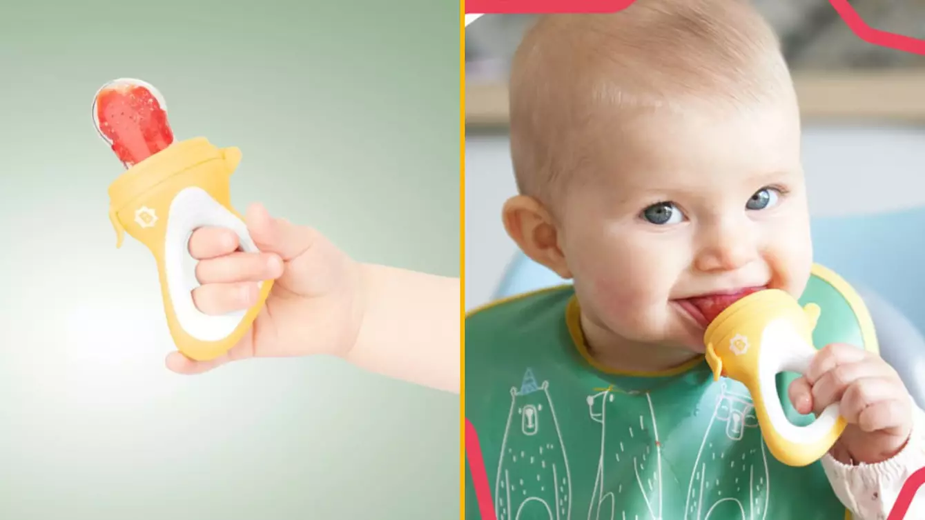 grignoteuses-decouvrir-nouvelles-saveurs