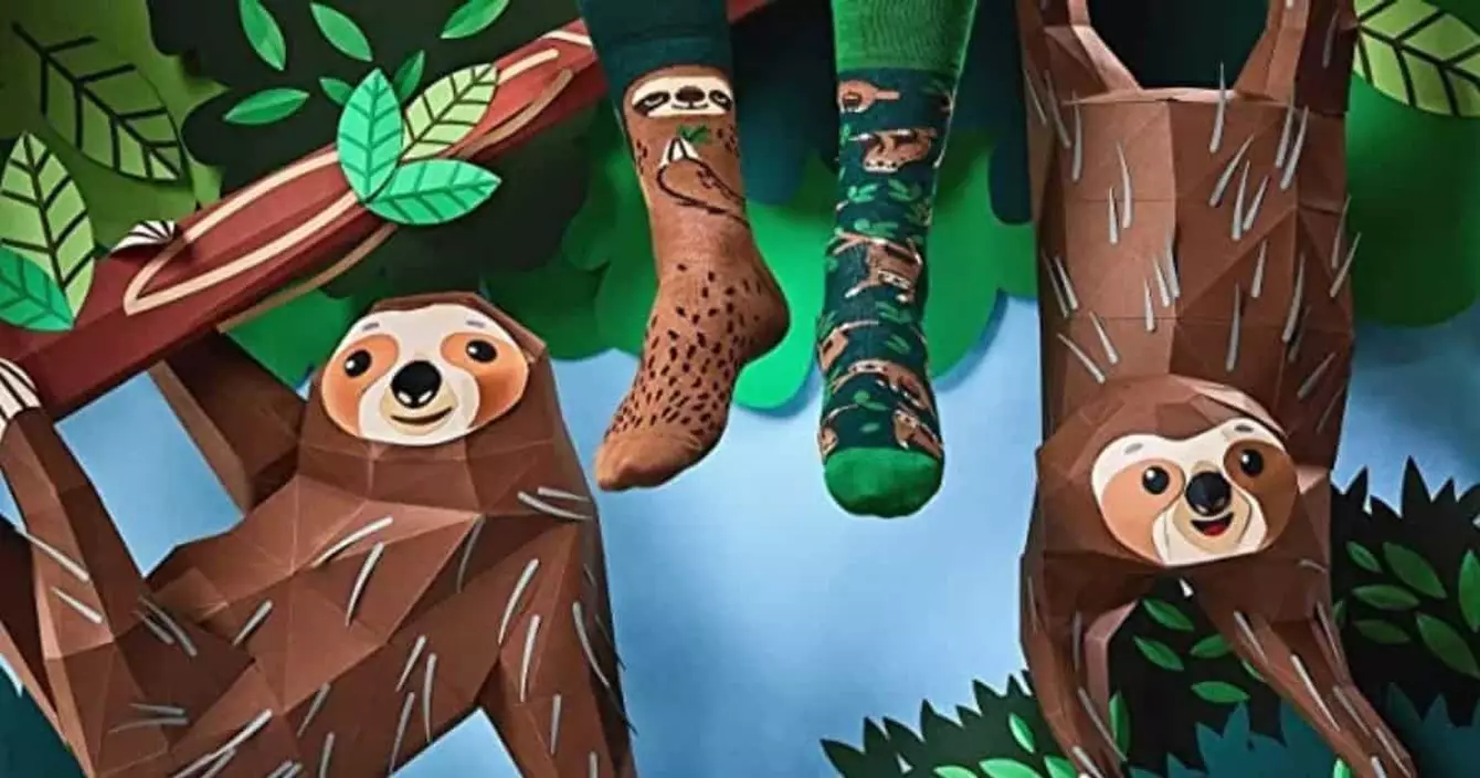 chaussettes-paresseux-marcher-allure