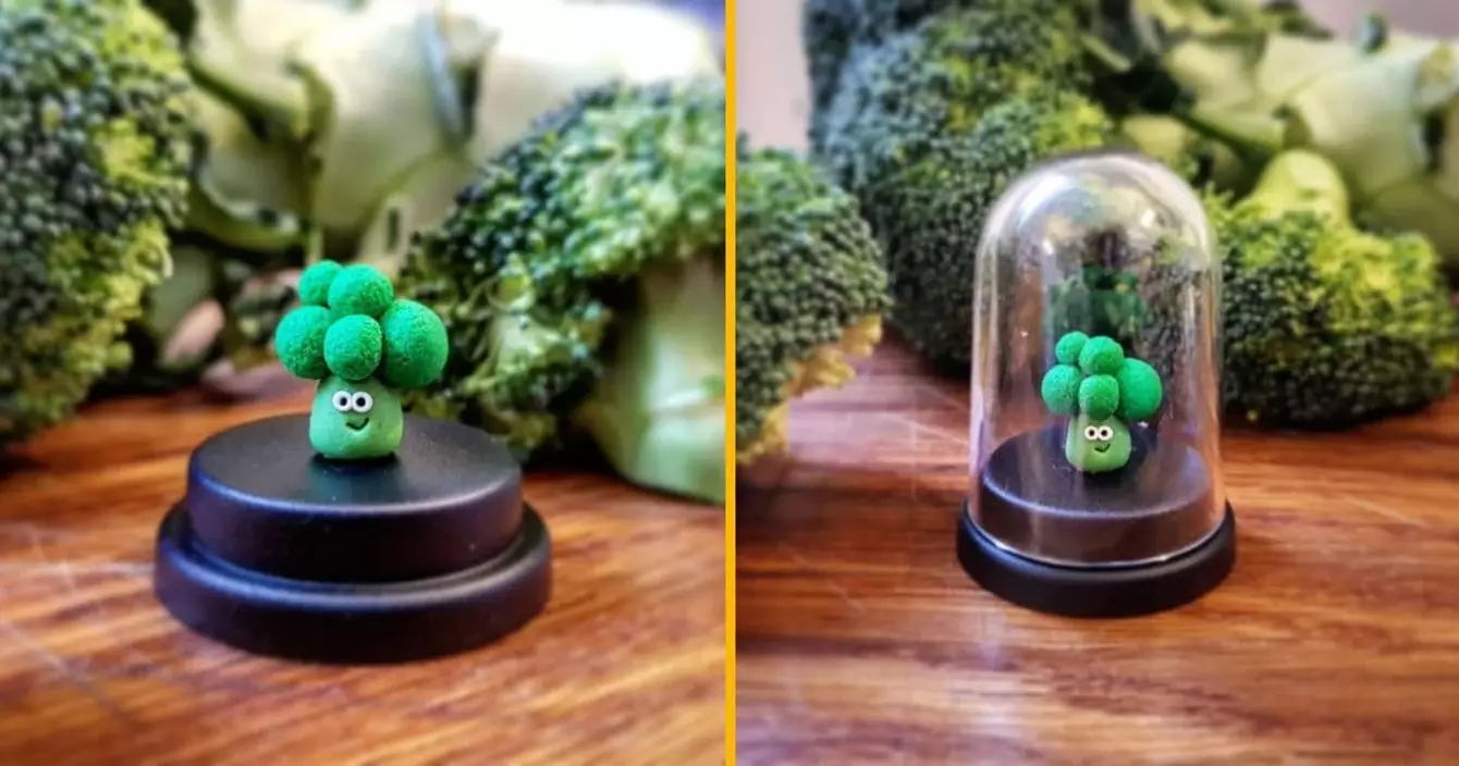 brocoli-compagnie