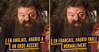 top differences harry potter français anglais