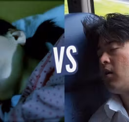 battle-362899-1426098169