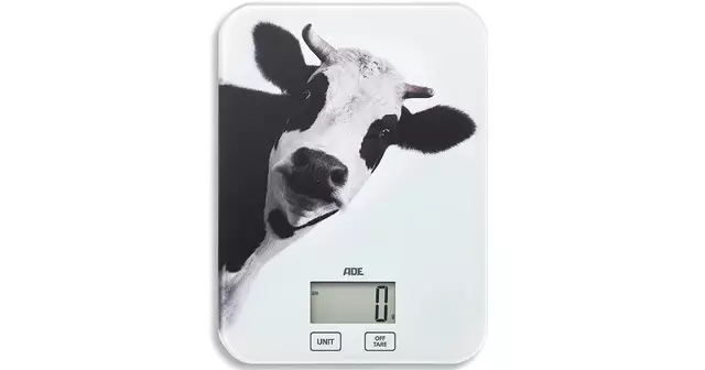 balance-cuisine-vache