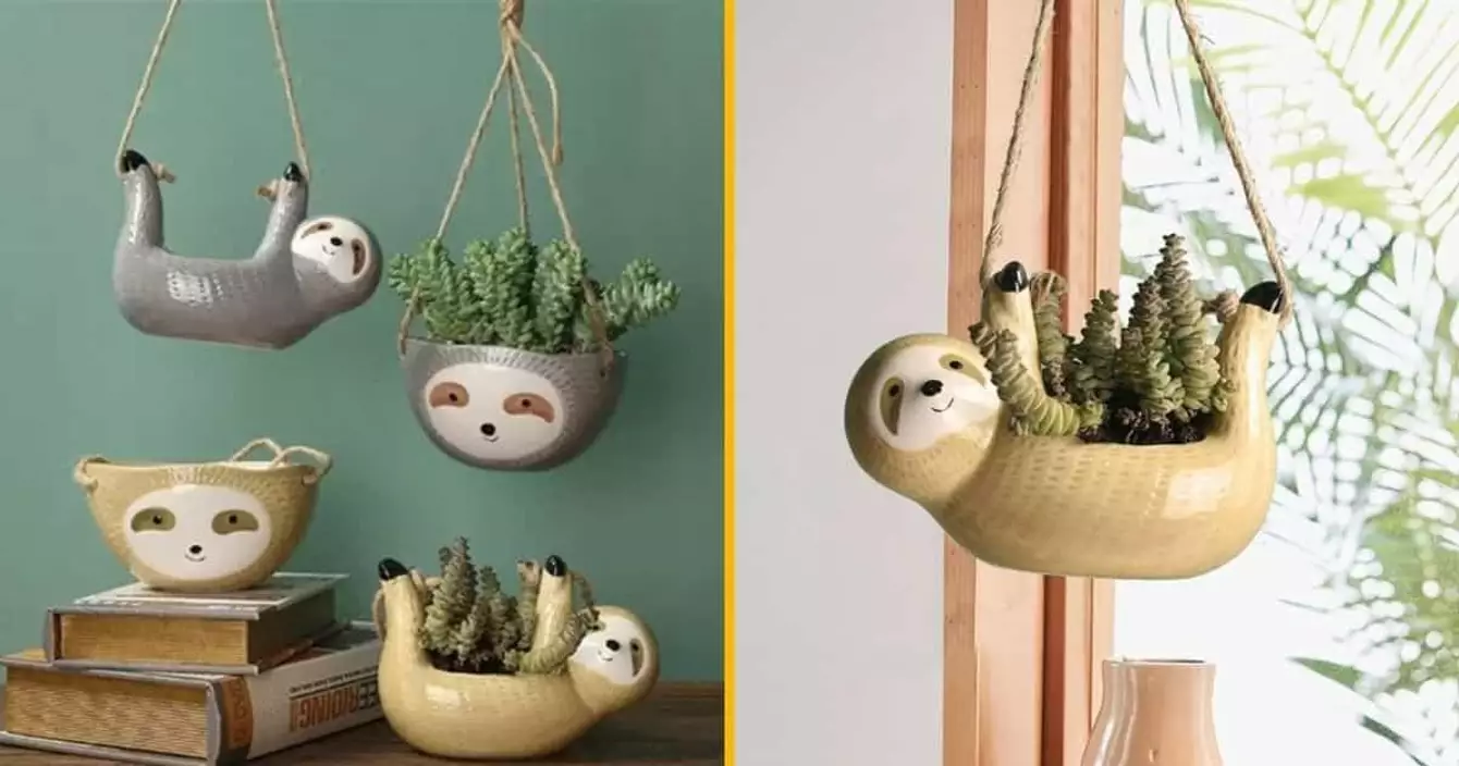 un-pins-paresseux-tellement-mignon-que-cen-est-presque-criminel