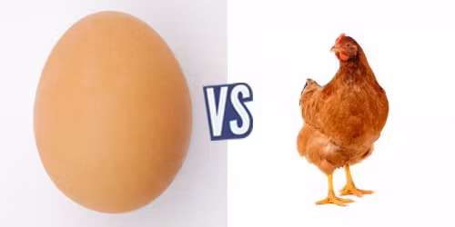 battle-340343-1417617596