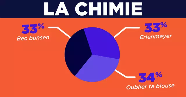 INFOGRAPHIE_MATIERE_SCOLAIRE_HONNETE_Plan-de-travail-27