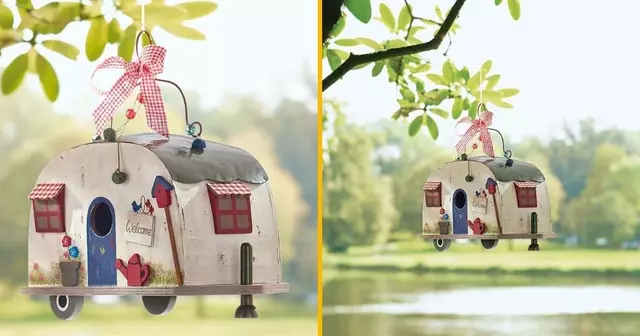 caravane-pour-oiseaux
