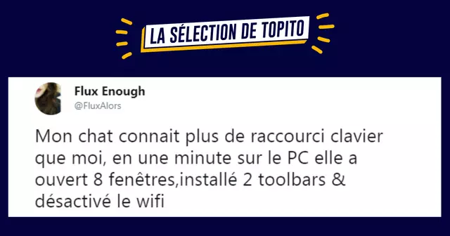 UNE_LA-SELECTION-DE-TOPITO