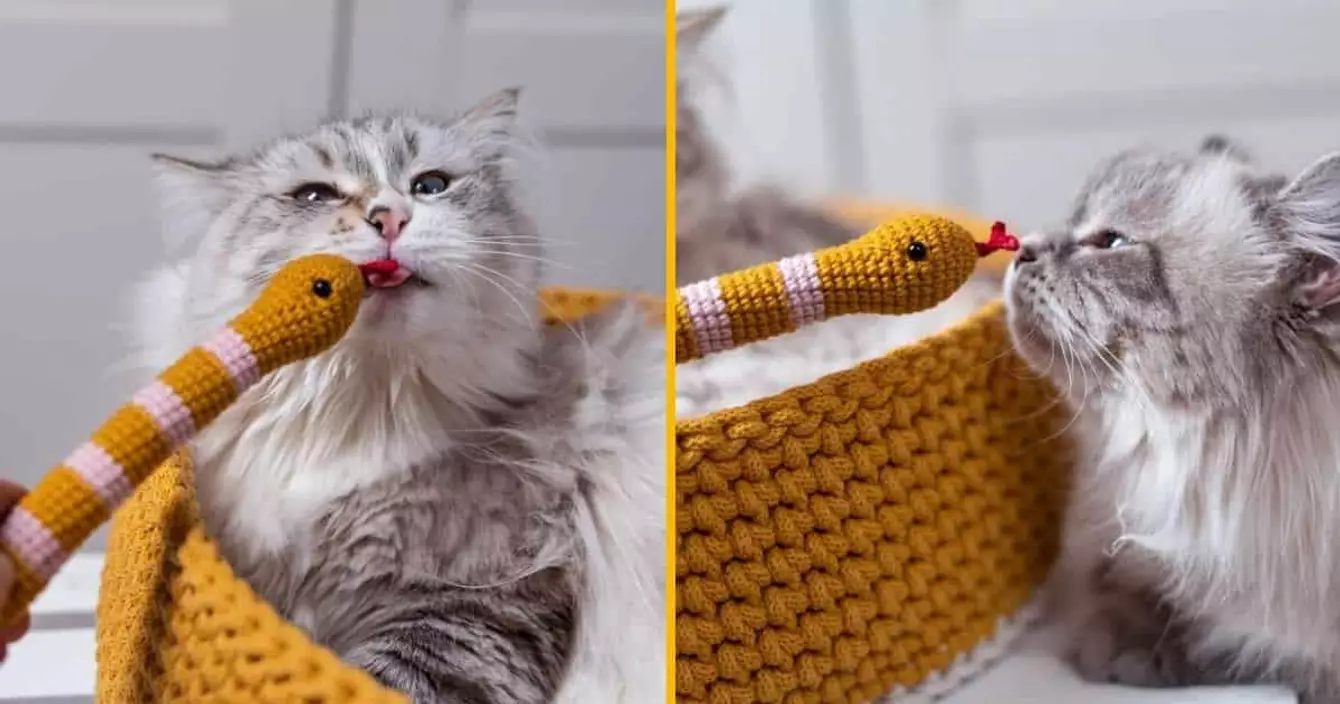 jouet-crochet-serpent-chat