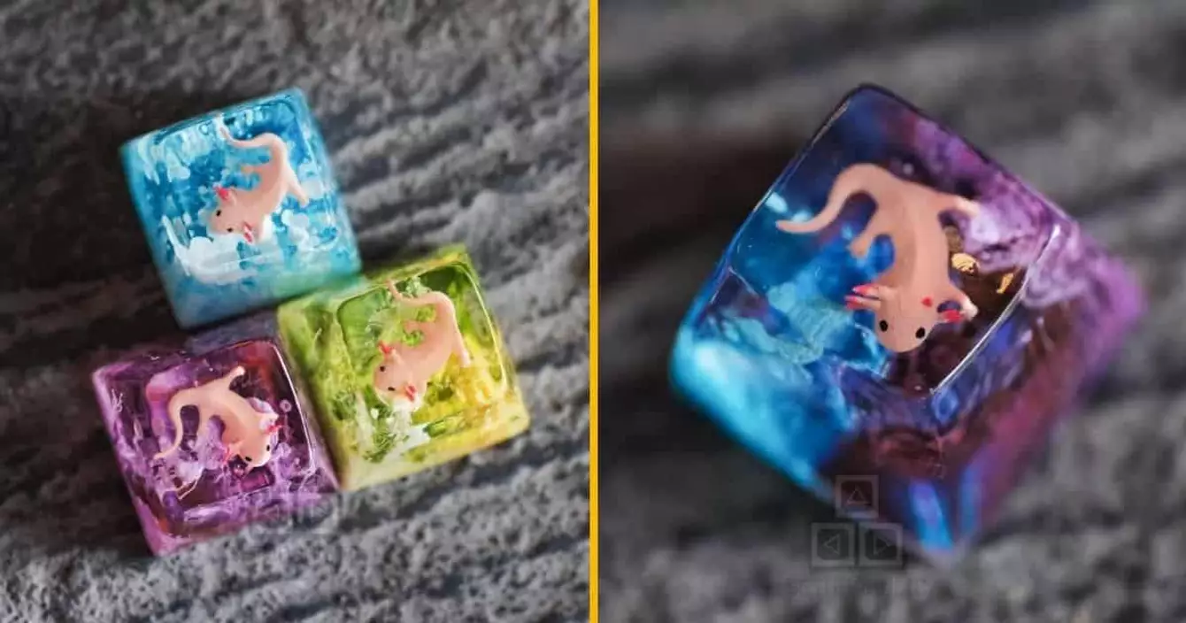 touche-clavier-axolotl